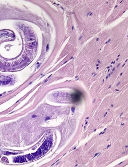 Роль витаминов и добавок в процессе беременности