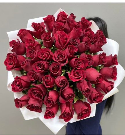 Olympus CX43: Высокое качество изображения для лабораторных исследований