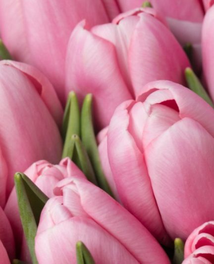 Тефлон, керамика или гранит: что лучше для сковороды