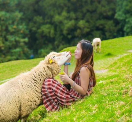 Отношения в семье: факторы, типы и влияние на развитие личности