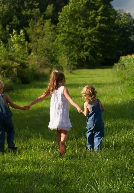 Брови с эффектом мягкой дуги